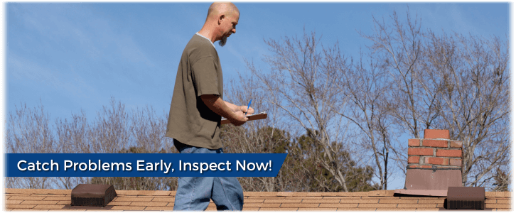 Chimney and Fireplace Inspection Nashville
